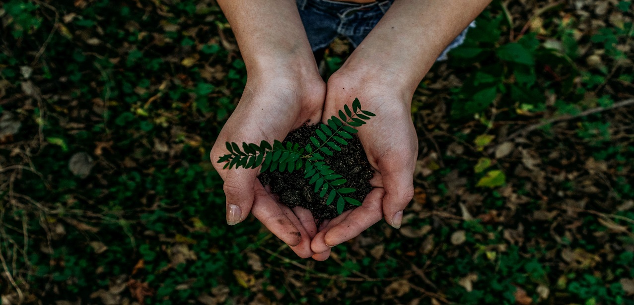 Environmental considerations