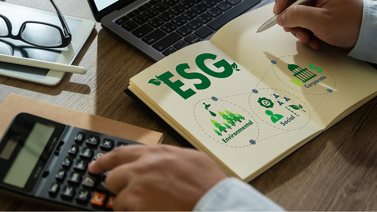 Esg Governance 3